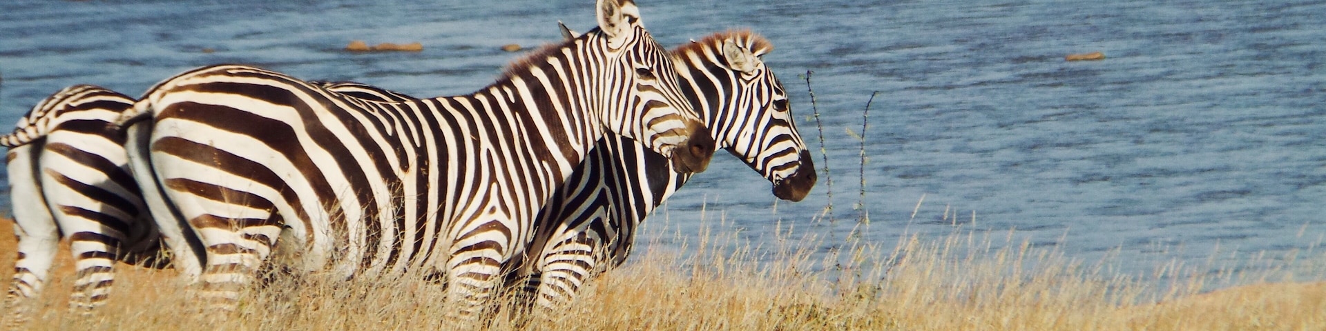 #tsavo #safari #africa