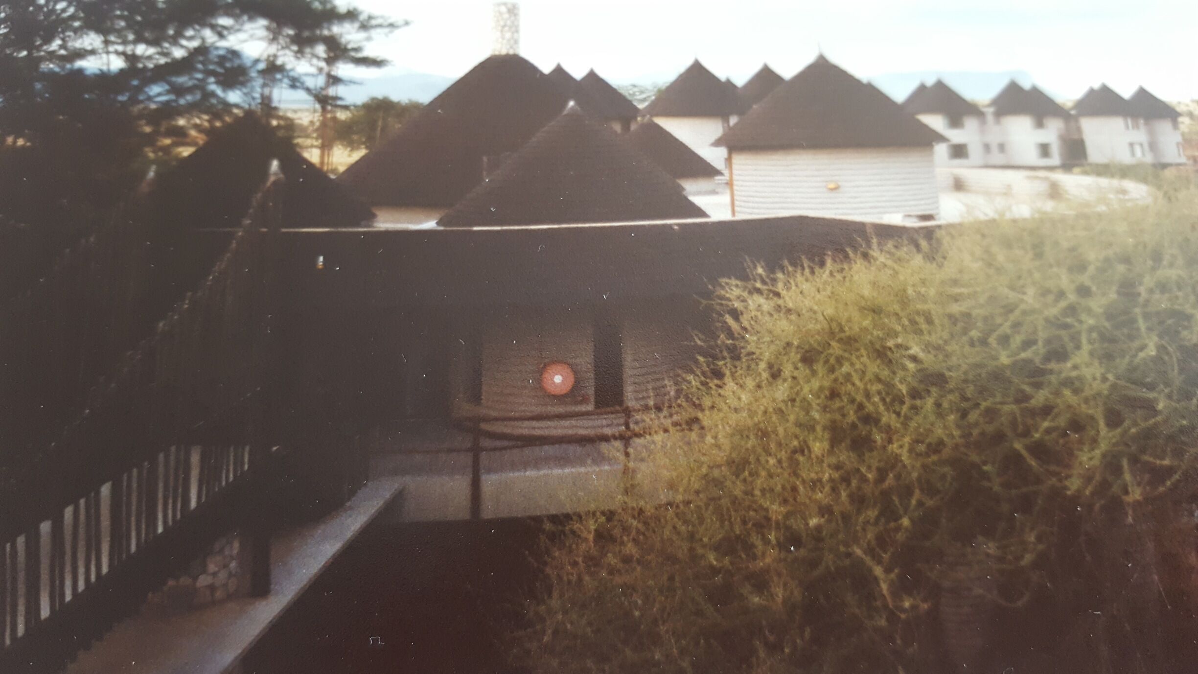 Wonderful salt lick  lodge in tsavo national safari.. 
Situated on stilts to commendate  wild animals  and boasts great lookout  at the African plains where there's waterholes and many wild animals to watch and listen to through the the evening..
Each lodge is round and had a double room ensuite..