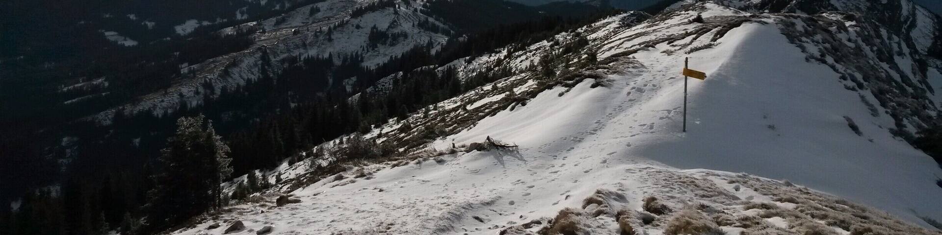 The Mittaggüpfi belongs to the Mt. Pilatus chain and from the top you can see a lot of Switzerland and the Alps.
You best start in the "Stäfeli" and just follow the marked path till you get to the top which takes around 1.5h. It is quite steep but not dangerous.