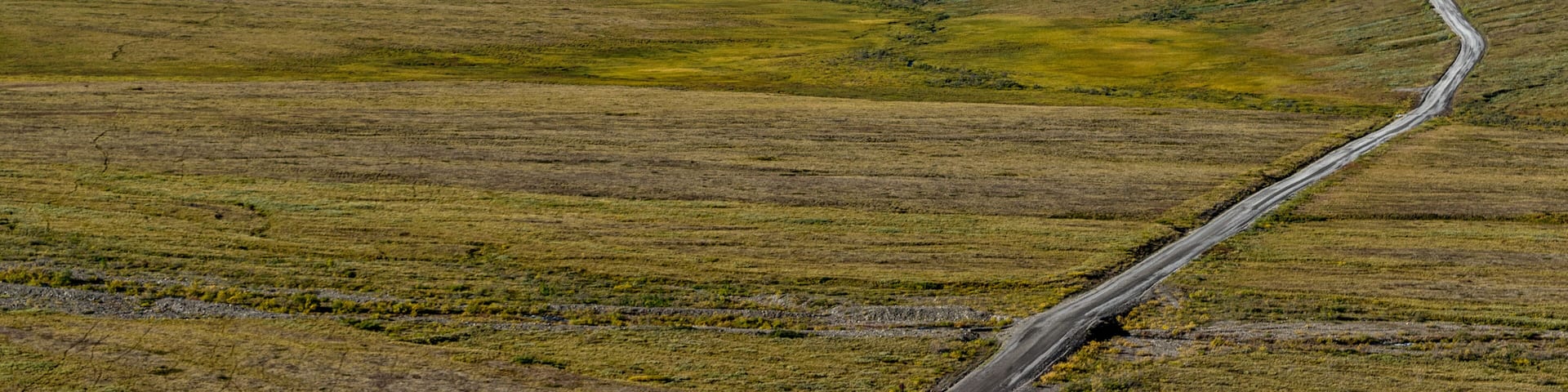 Mount Denali ( McKinley ) and the Kantishna road, Alaska
