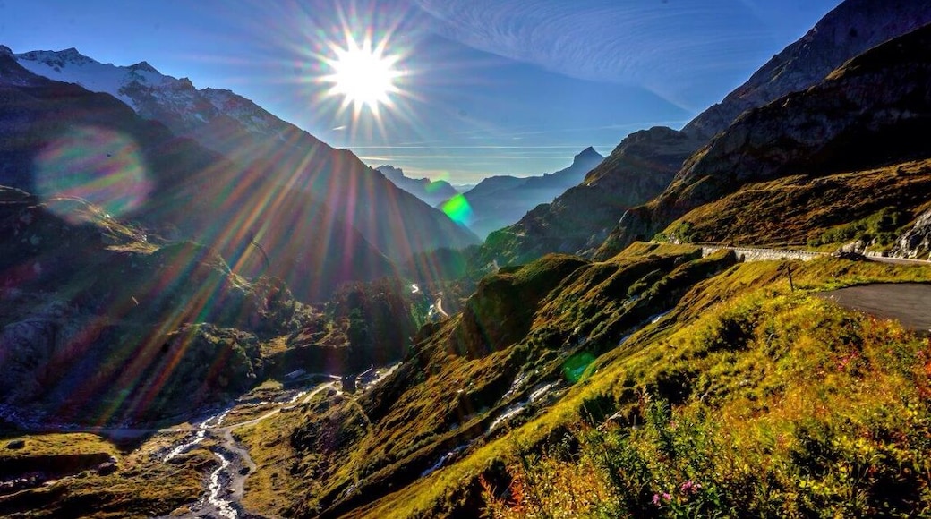 Country road in the alps I highly recommend driving some of the local routes.