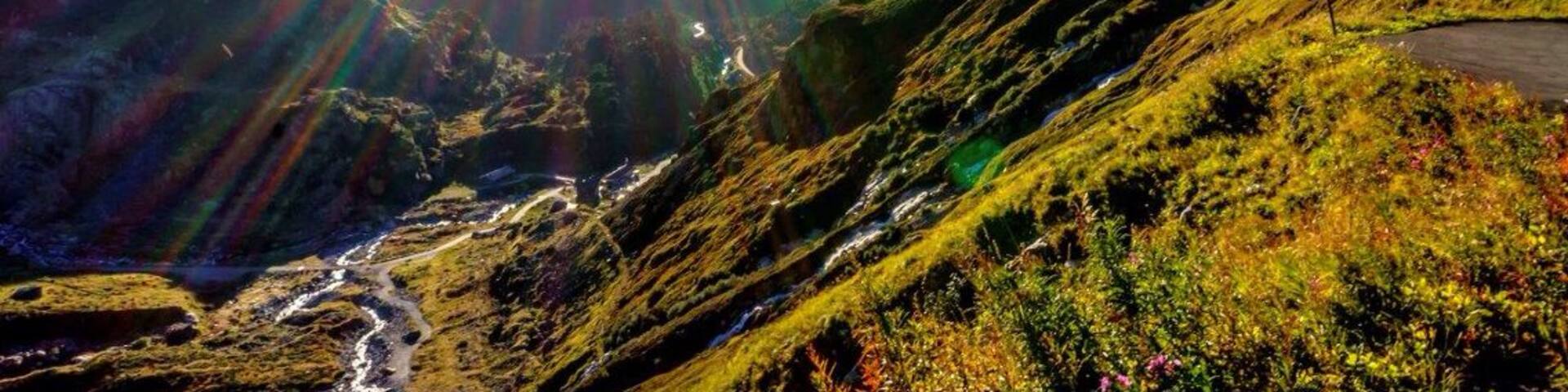 Country road in the alps I highly recommend driving some of the local routes.