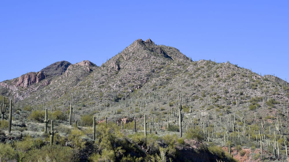 Arizona desert landscape under blue sky