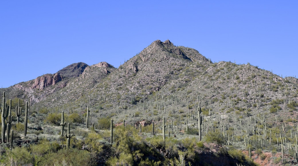 Arizona desert landscape under blue sky