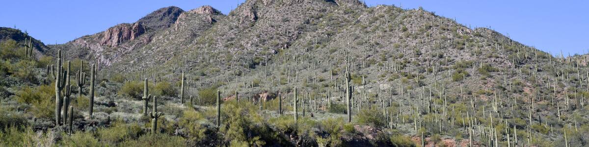 Arizona desert landscape under blue sky