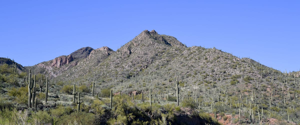 Arizona desert landscape under blue sky