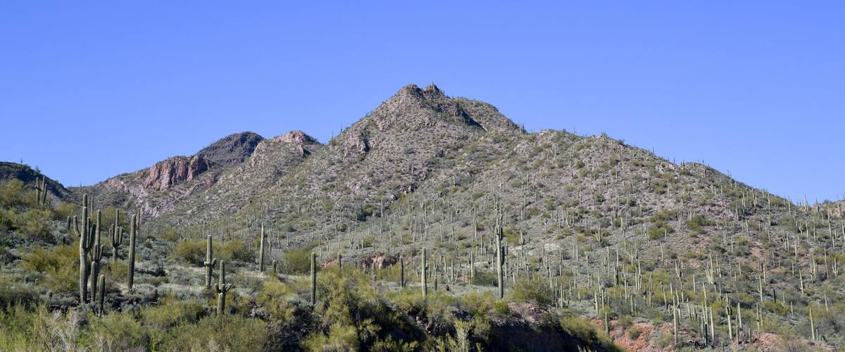 A mountain range with sparse vegetation and cacti.