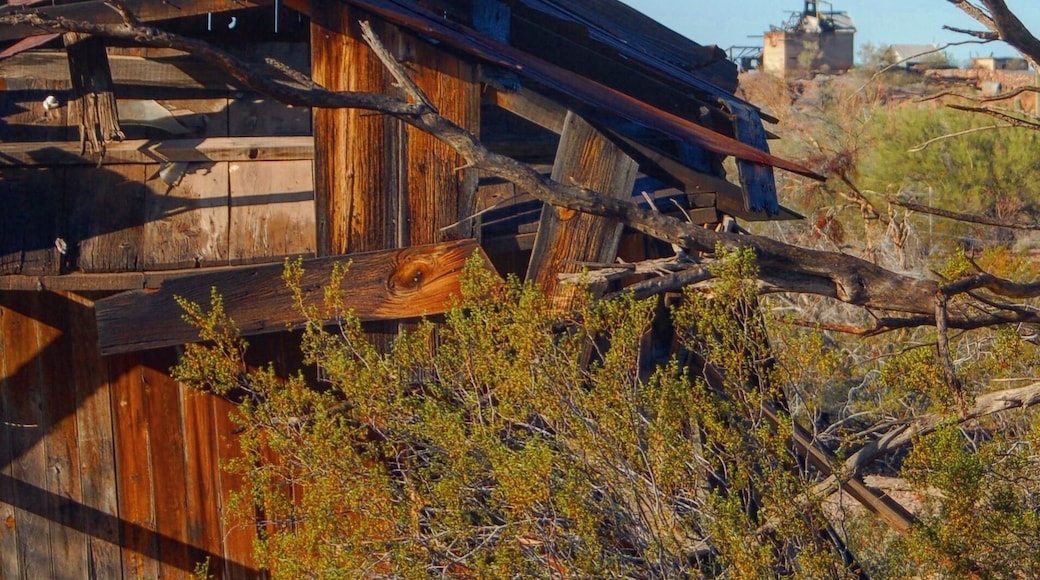 Vulture Mine #abandoned #ghosttown
