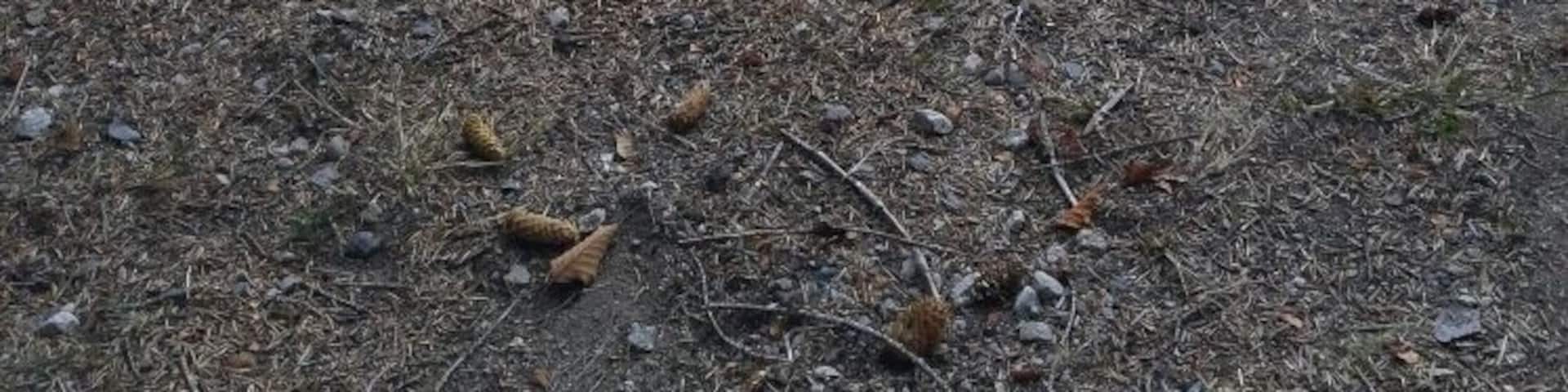 The most beautiful lake ..summer and winter