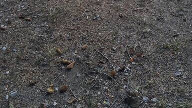 The most beautiful lake ..summer and winter