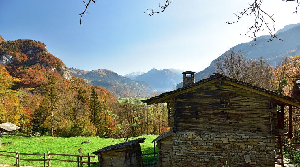 Hofstetten bei Brienz