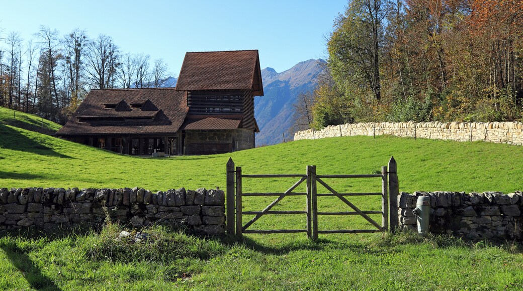 Hofstetten bei Brienz