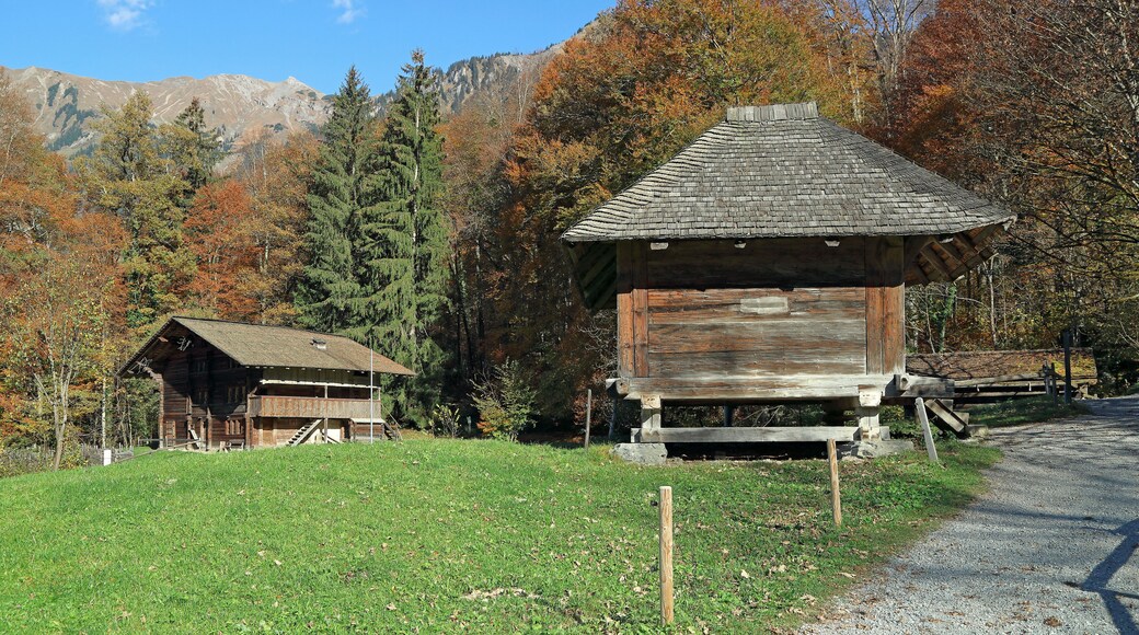 Hofstetten bei Brienz