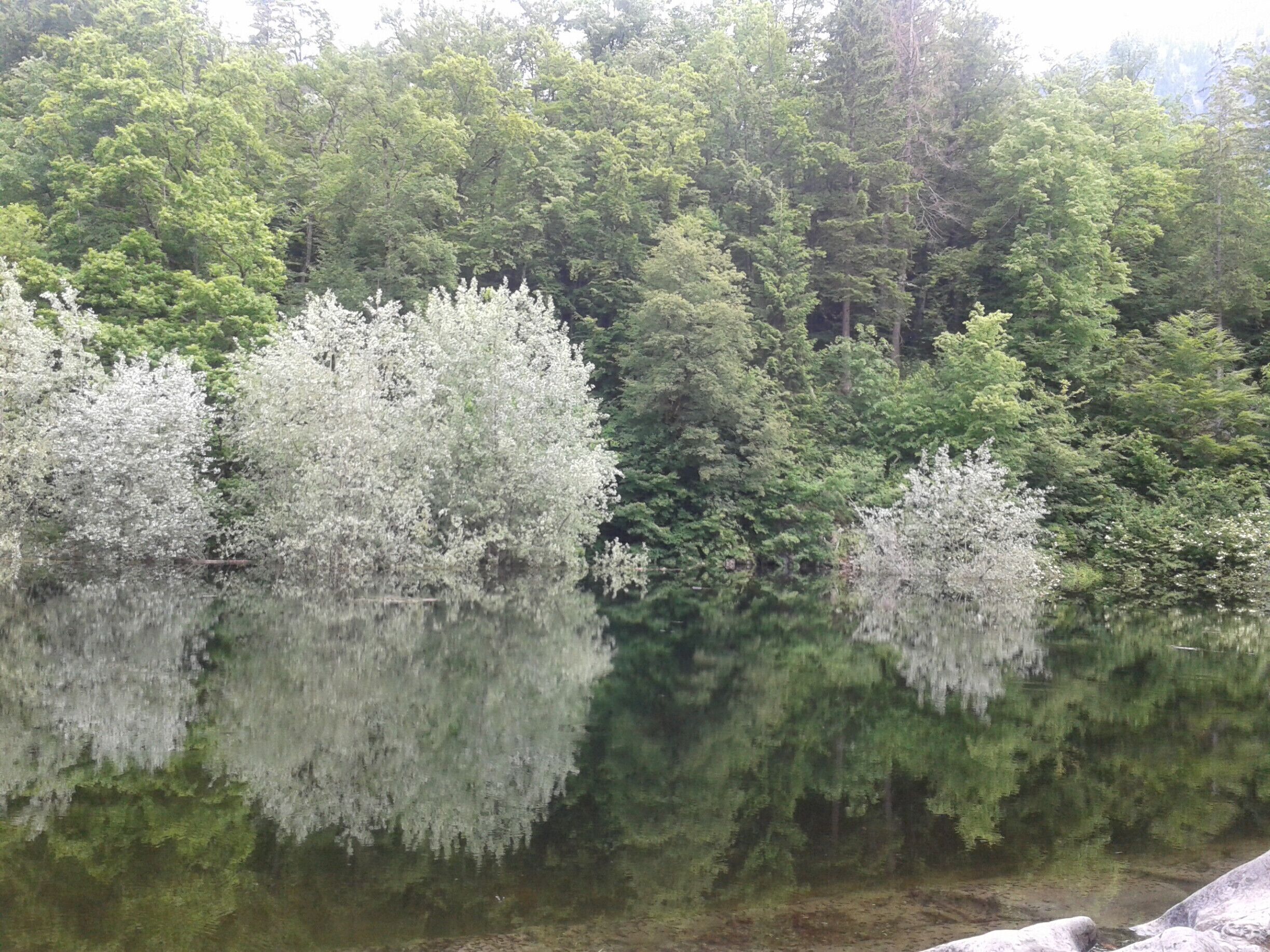 this place shows swiss history
here you see the the lake, look like a mirrow
