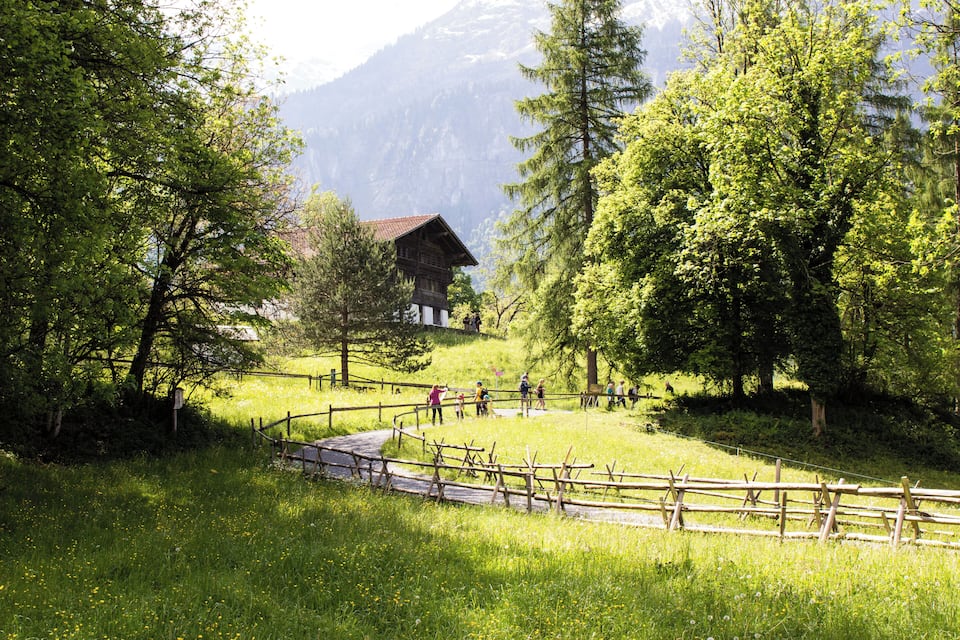 A wooden cabin on a hill, surrounded by lush green trees and a clear sky.