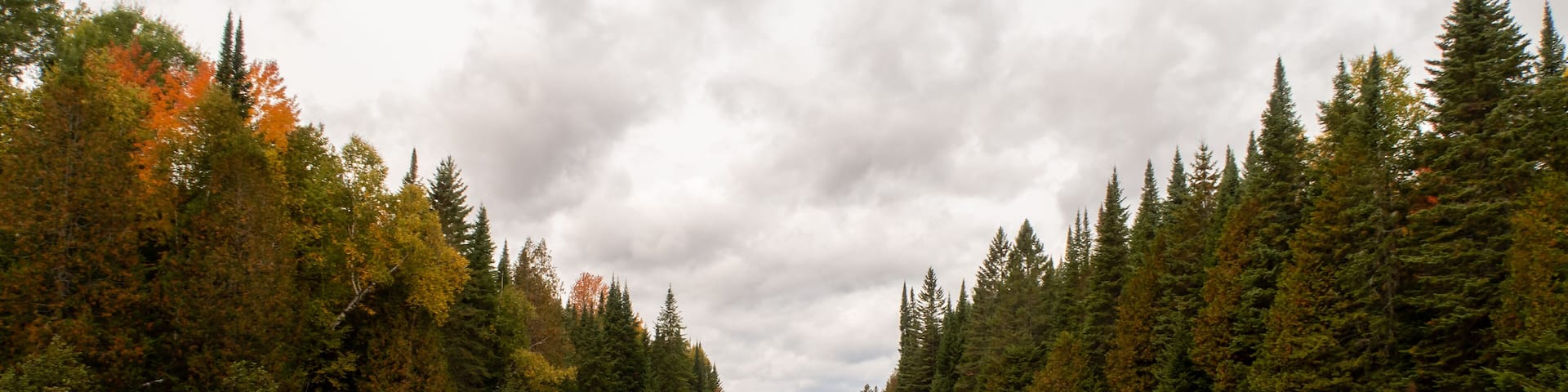 View of a peaceful lake with a wooden bridge in the Frontenac national park, Canada
