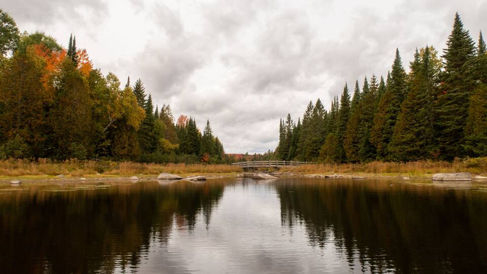 A calm river with a wooden bridge, surrounded by dense forest and autumn foliage.