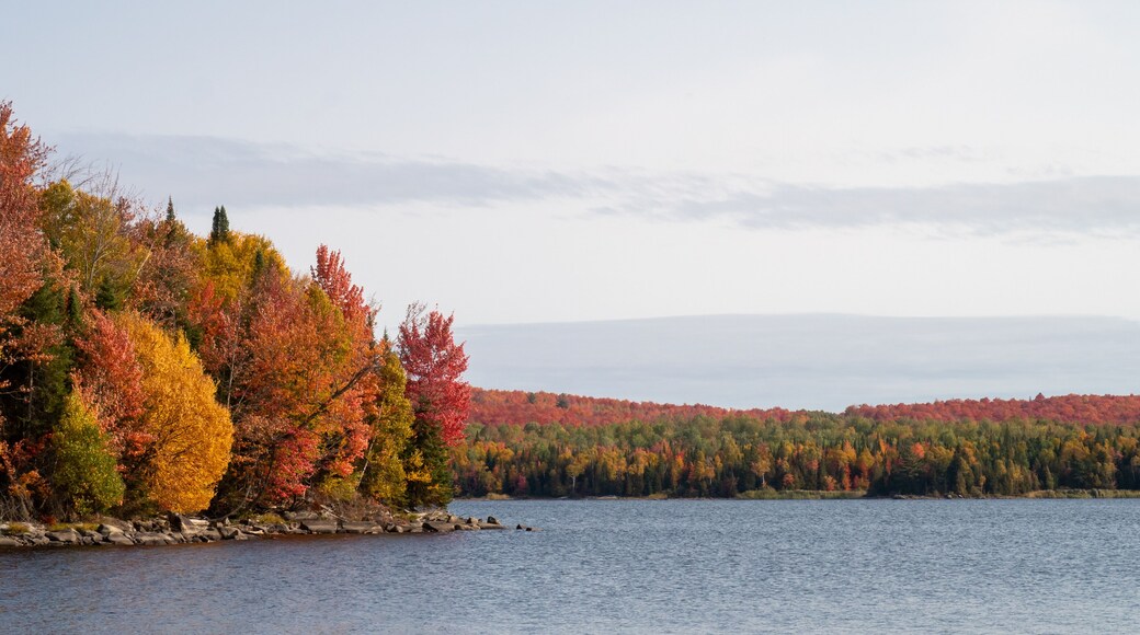 Autumnal view of a peaceful lake in the Frontenac national park, Canada