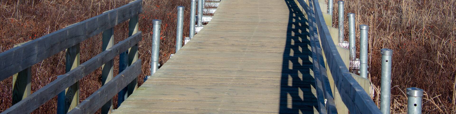 A wooden boardwalk curving through a marshy landscape with sparse trees and distant hills.