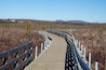 A wooden boardwalk curving through a marshy landscape with sparse trees and distant hills.
