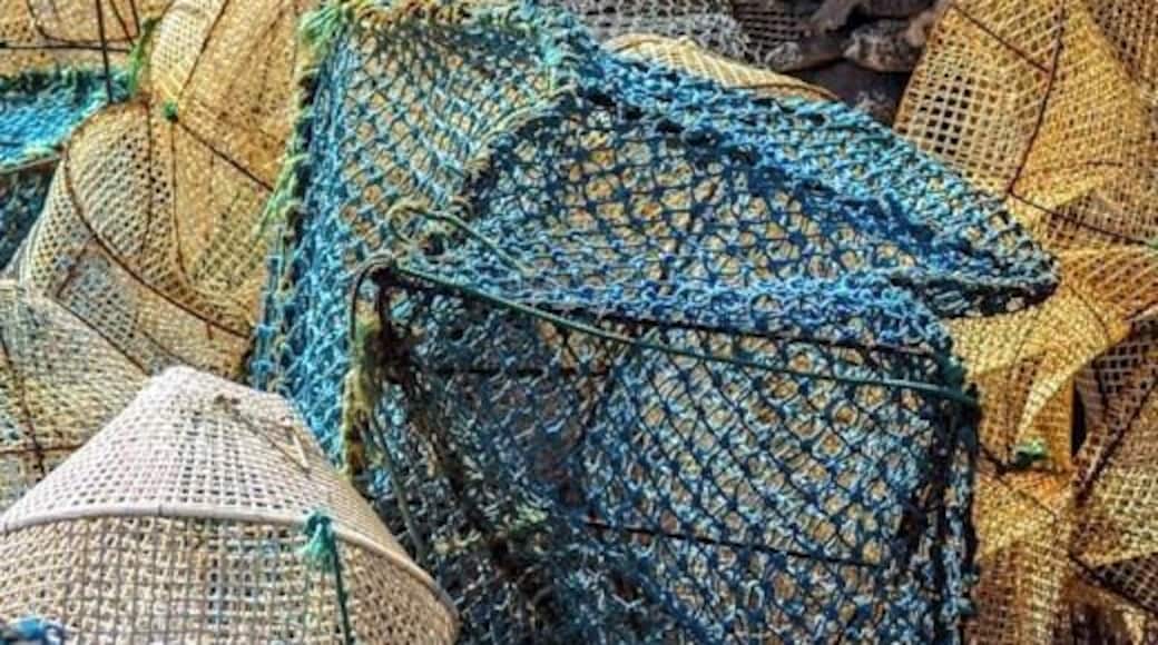 Interesting cluster of fishing nets near to fishing harbour in La Santa, Lanzarote.