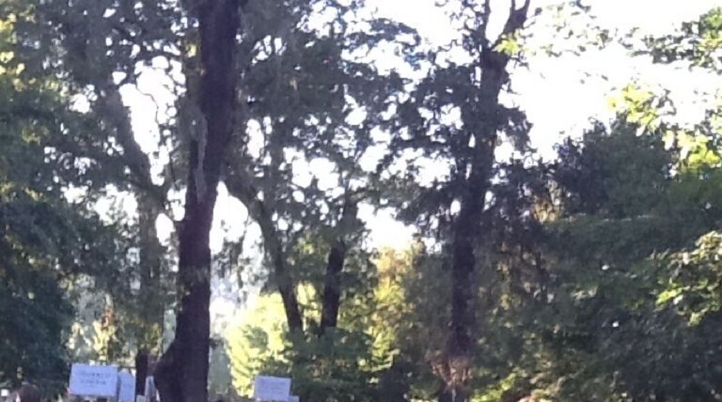 "Love of the Land" annual Sonoma County Farm Bureau's fund raiser held at Richard's Grove at Saralee's Vineyard. A couple hours of silent auctions, tables of finger food from some of the best Sonoma County meat, produce, cheese, etc prepared by local talent, accompanied by so many of the finest local wineries that you can't begin to taste them all. THEN followed by chicken &tri tip BBQ at tables with bottles of fantastic wines, THEN local peach ice cream & pie. I topped off the evening by being highest bidder on a magnum of Pinot noir and another of Cab. Check out the Sonoma County Farm Bureau's website if you are ever in the area. Their fundraisers are a great way to have some of the best of all that this county can offer.