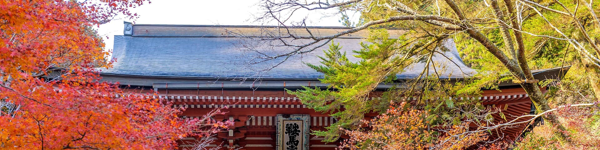 A traditional Japanese gate with a stone wall, surrounded by autumn foliage.