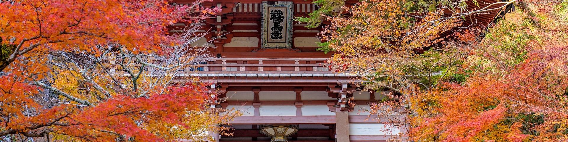 Um portão tradicional japonês com um muro de pedra, cercado por folhagem outonal.