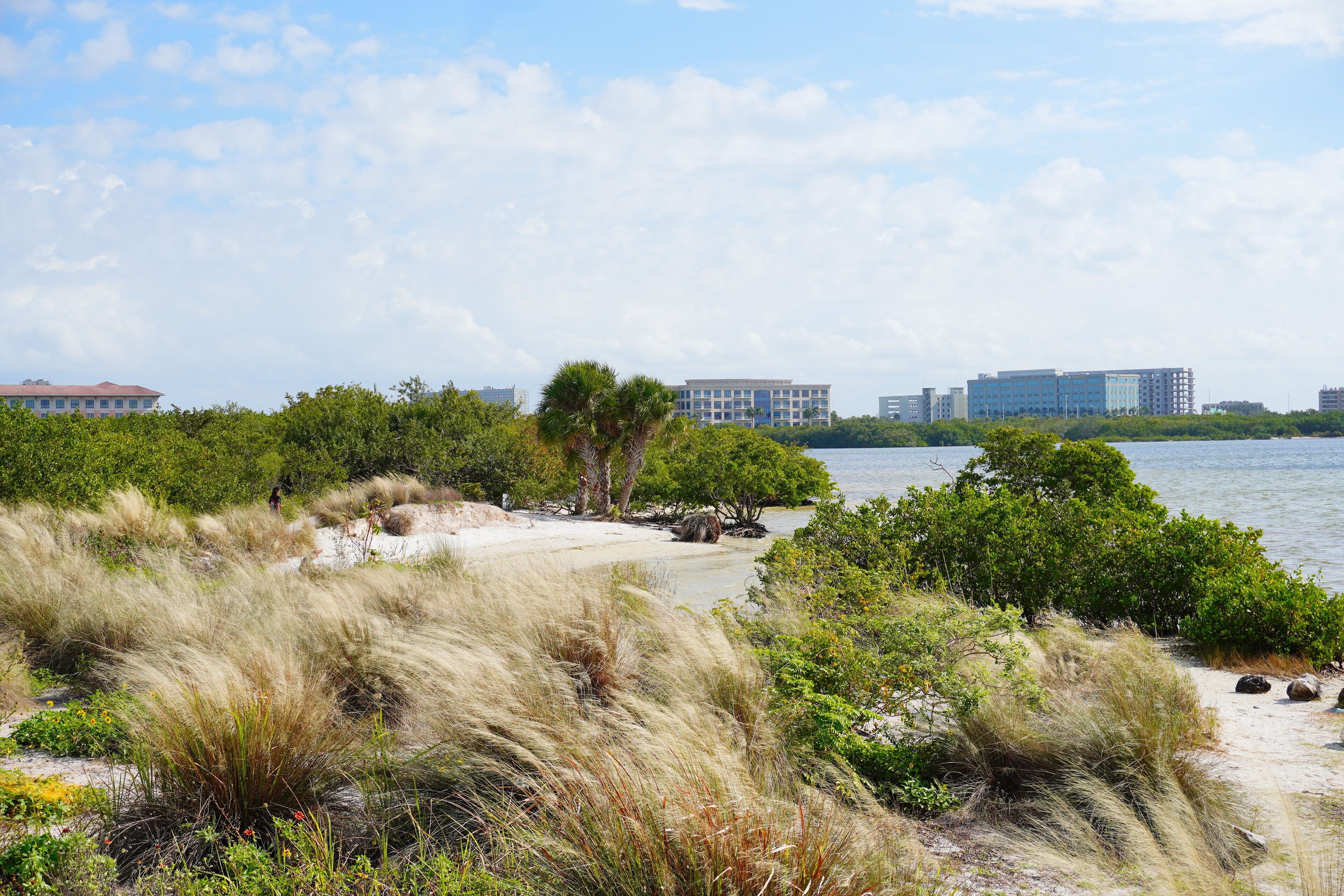Winter landscape Cypress Point Park and Tampa Bay in Florida. It is close to TPA airport and is an Oceanfront park with a boardwalk, hiking trails, dunes, picnic shelters and a canoe dock.