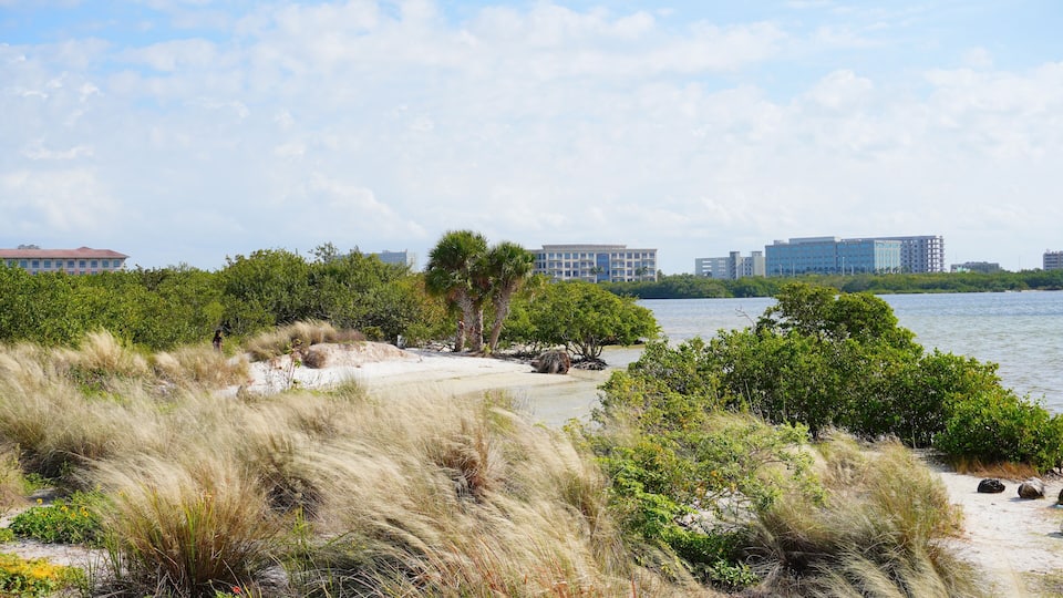 Winter landscape Cypress Point Park and Tampa Bay in Florida. It is close to TPA airport and is an Oceanfront park with a boardwalk, hiking trails, dunes, picnic shelters and a canoe dock.