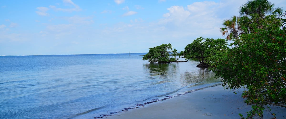 Summer landscape Cypress Point Park and Tampa Bay in Florida. It is close to TPA airport and is an Oceanfront park with a boardwalk, hiking trails, dunes, picnic shelters and a canoe dock.