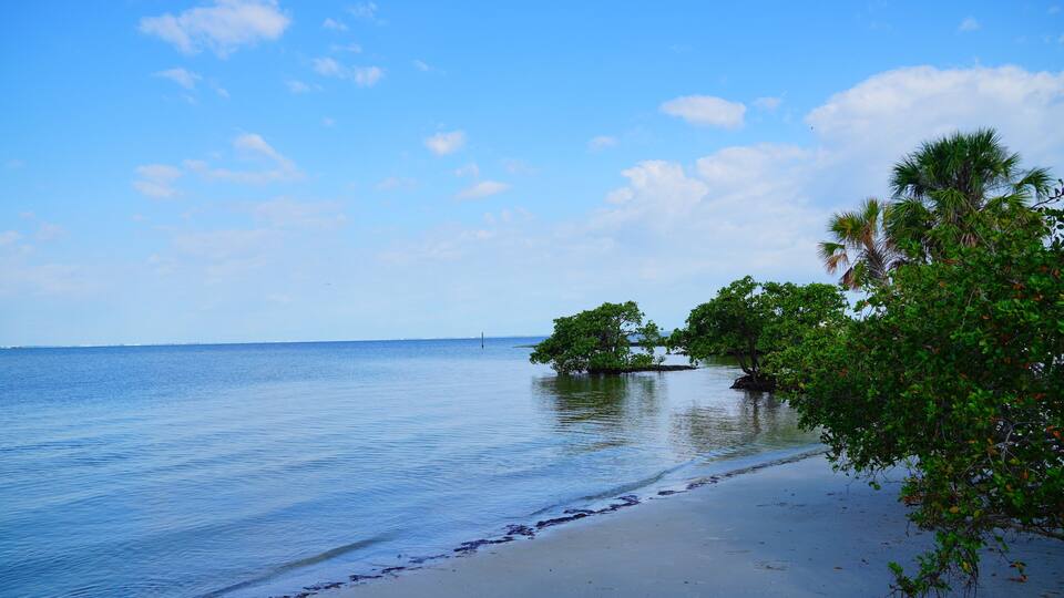 Summer landscape Cypress Point Park and Tampa Bay in Florida. It is close to TPA airport and is an Oceanfront park with a boardwalk, hiking trails, dunes, picnic shelters and a canoe dock.