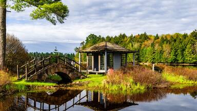 A stone bridge over a calm lake, a small gazebo, and a forested area.