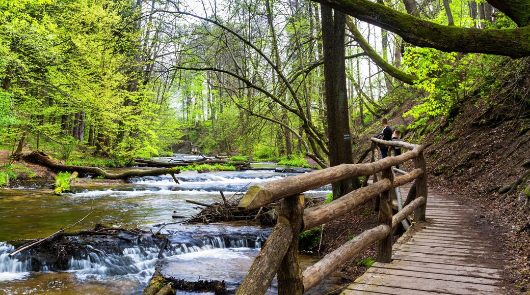 Parc national de Roztocze