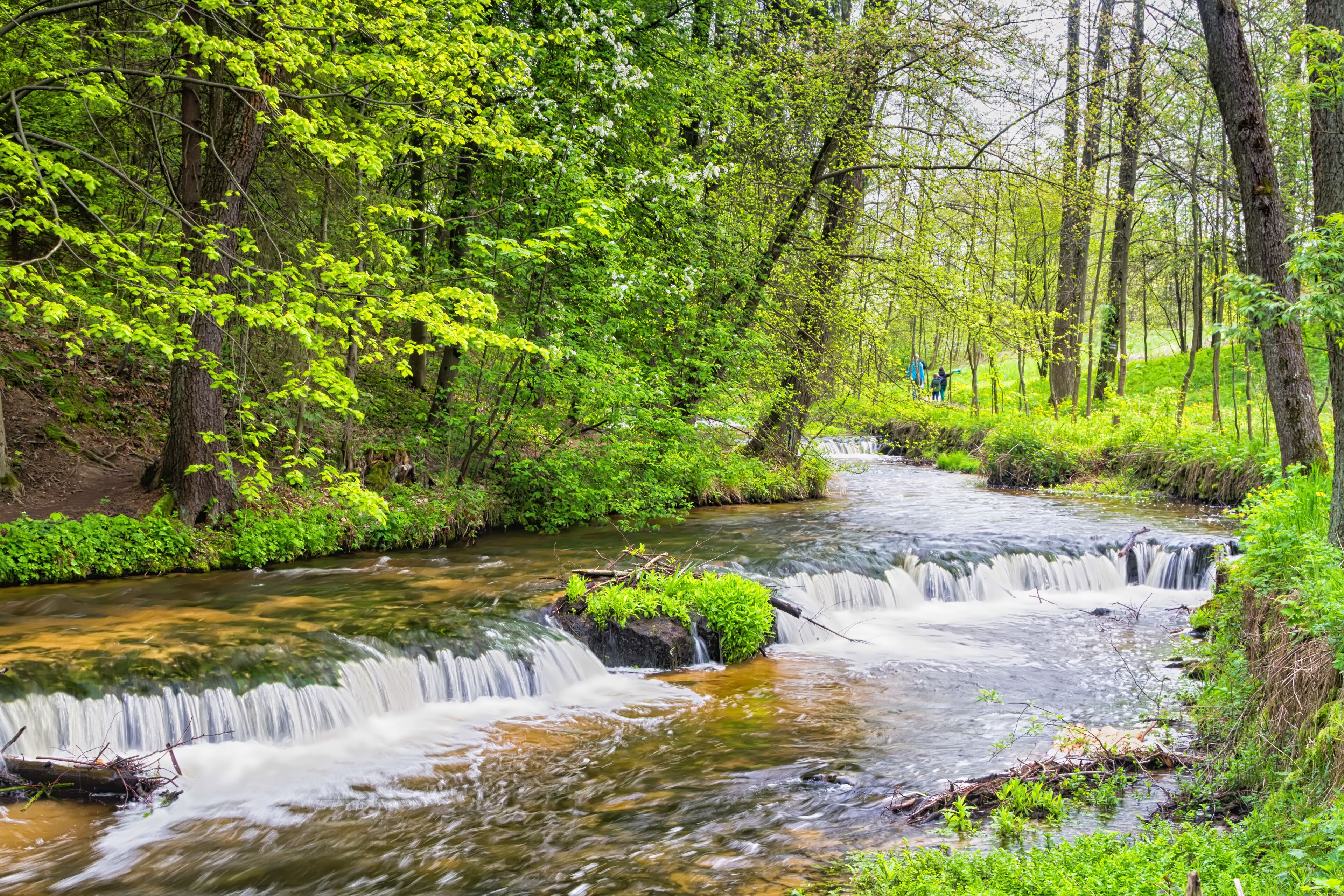 羅茨坎斯基國家公園