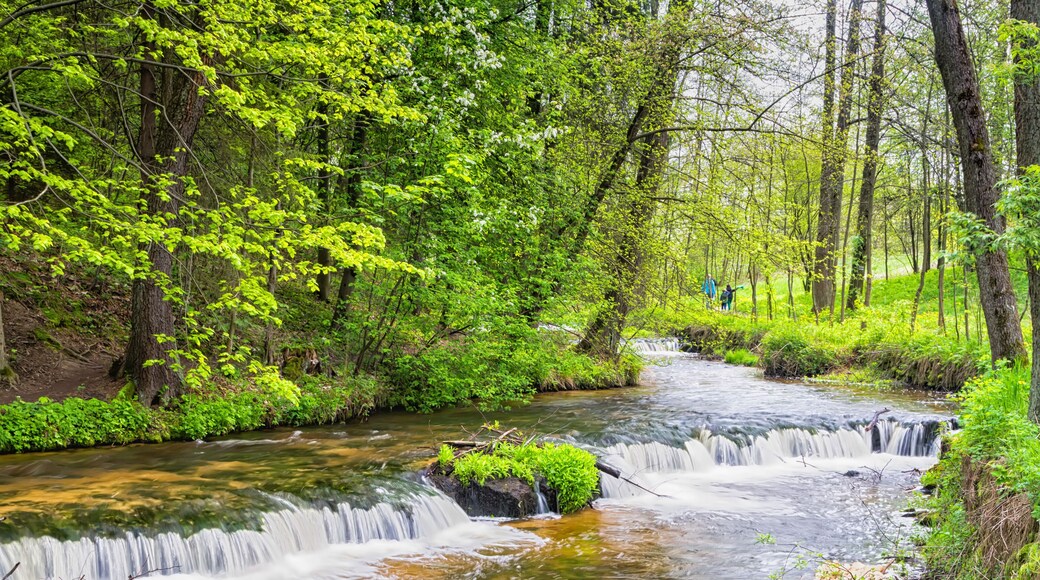 羅茨坎斯基國家公園