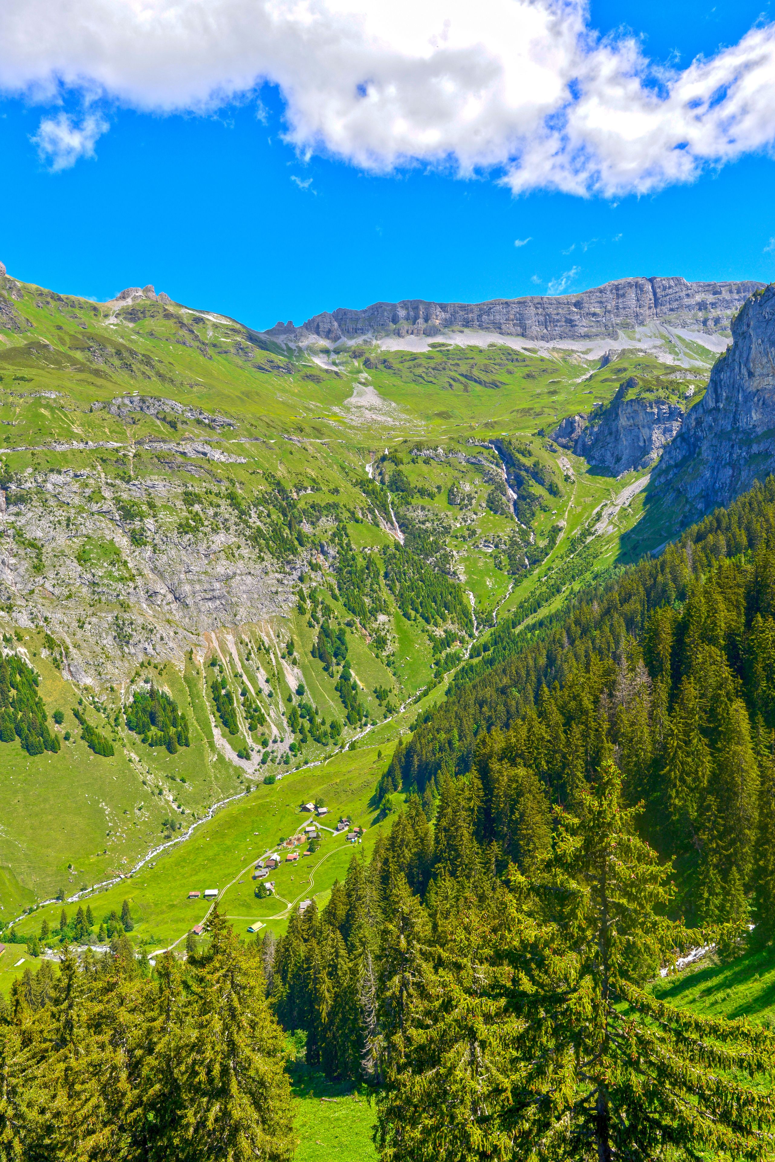 Eine gebirgige Landschaft mit einem Tal, dichten Wäldern und blauem Himmel.