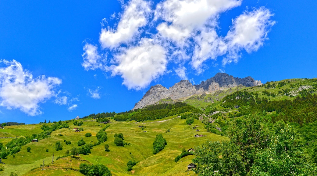 Eine gebirgige Landschaft mit grünen Hügeln, vereinzelten Bäumen und einer markanten Felsenkette unter blauem Himmel mit vereinzelten Wolken.