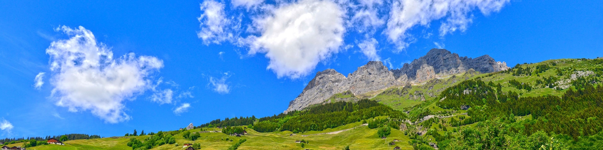 Un paysage montagneux caractérisé par des collines verdoyantes, des arbres dispersés et une chaîne de montagnes rocheuses imposante, le tout sous un ciel bleu dégagé parsemé de quelques nuages.