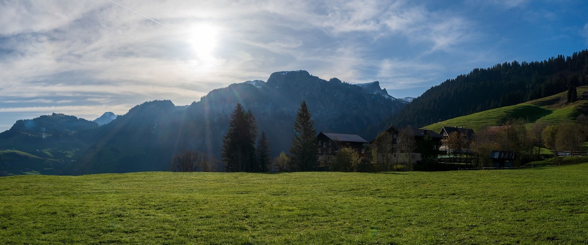 A green field with a mountain range in the background and a few houses.