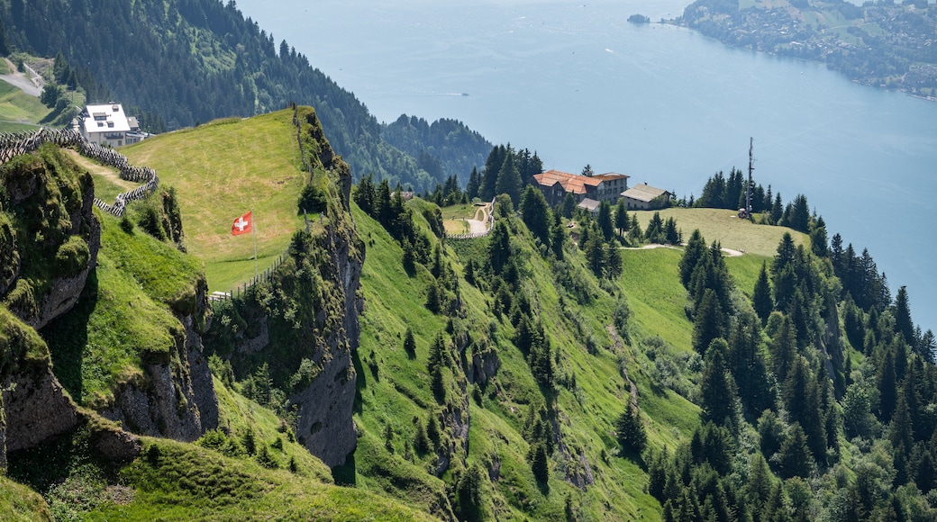 Rigi mountain landscape with swiss flag and lake lucerne