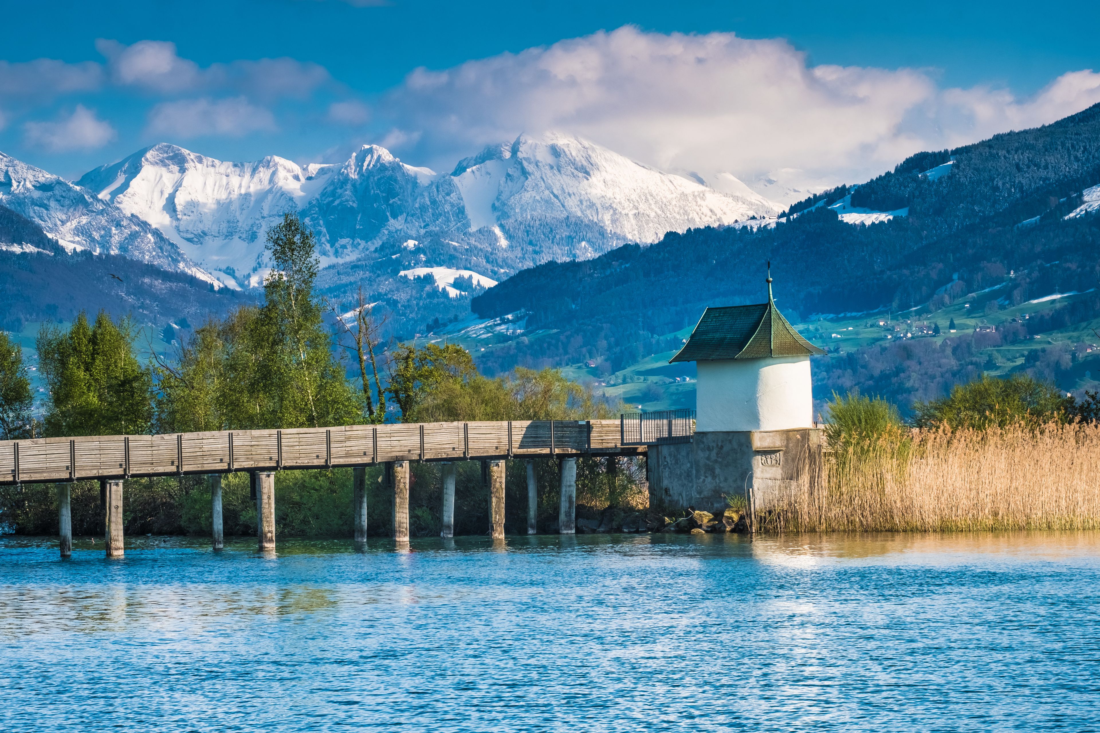 Idyllic landscapes on the shores of the Upper Lake Zurich, Rapperswil, Sankt Gallen, Switzerland