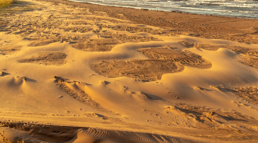 The wind formed intricate arrangement of weaved patterns of smooth and rough sand on a beach with waves breaking onto the shore, Brackley Beach, Prince Edward Island, Canada