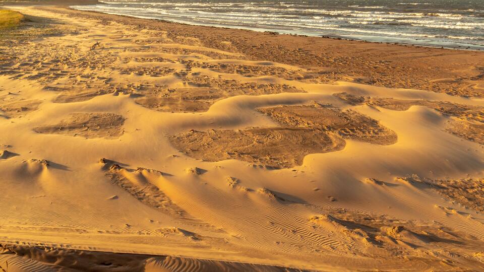 A sandy beach with undulating dunes and the ocean in the background.