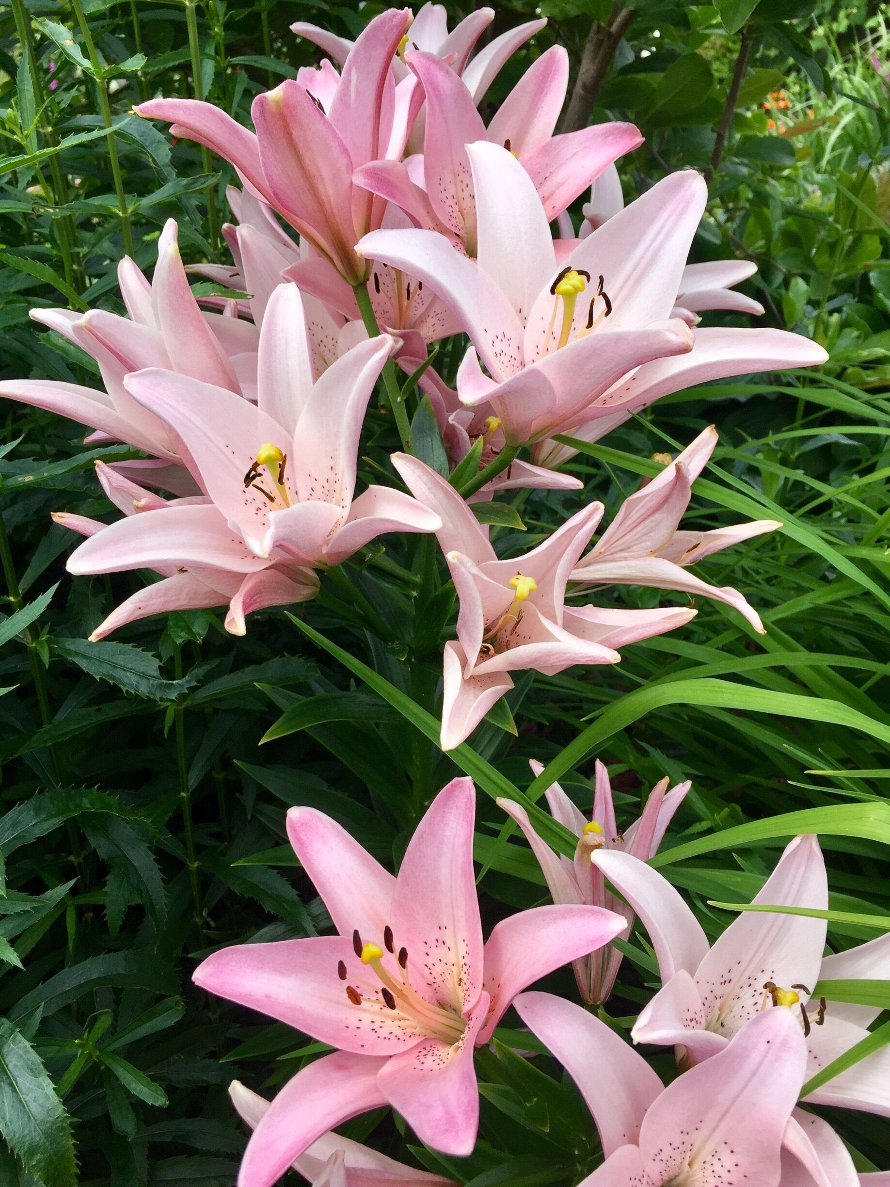 Beautiful gardens at the gallery. 