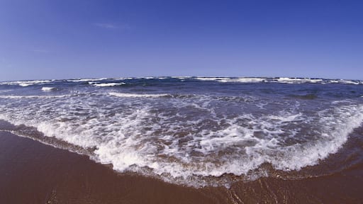 Shoreline at Brackley Beach, Prince Edward Island, Canada