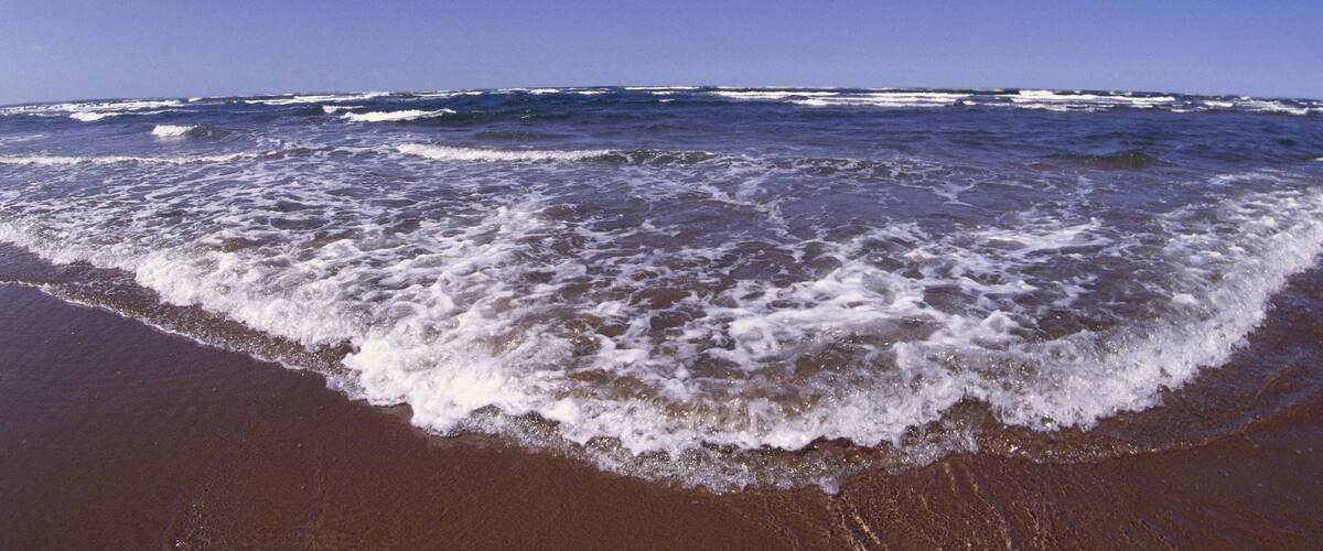 A beach with waves crashing onto the shore under a clear blue sky.
