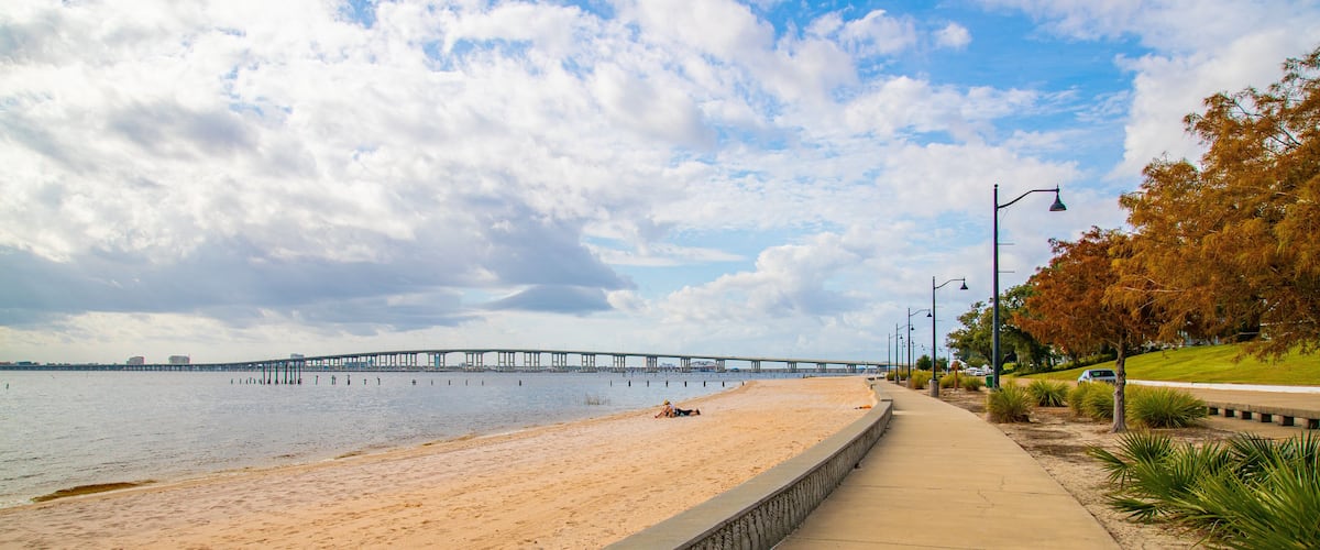 Ocean Springs Beach which includes general coastal views and a beach