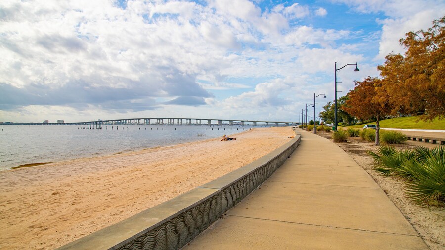 Ocean Springs Beach which includes general coastal views and a beach
