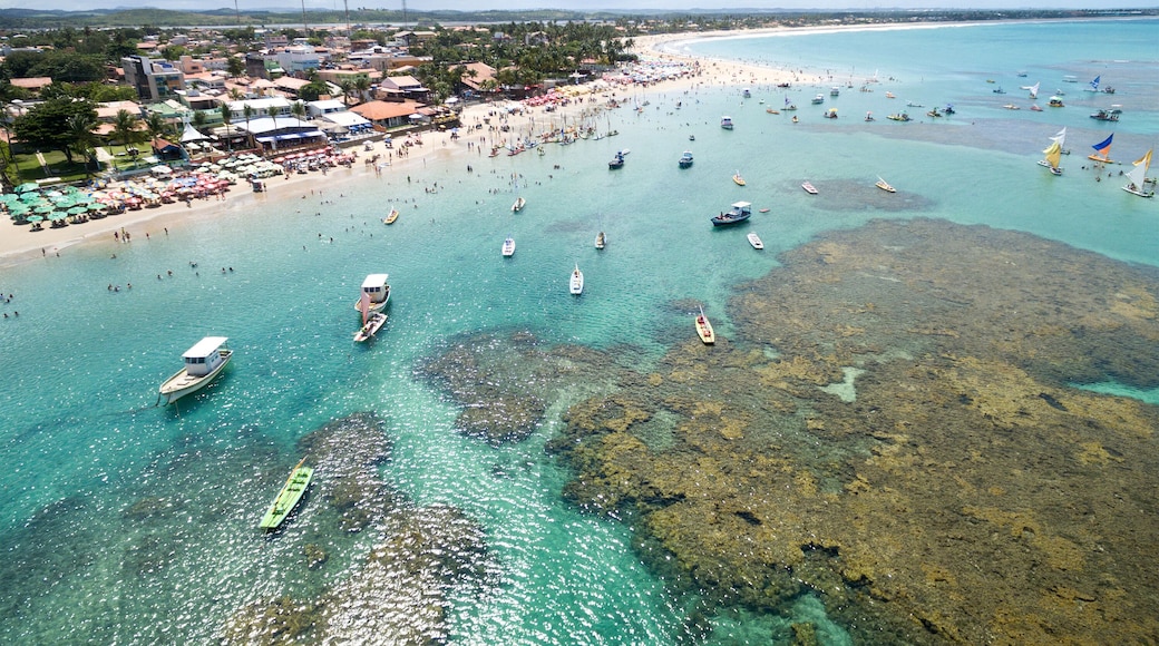 Aerial View of Porto de Galinhas, Pernambuco, Brazil